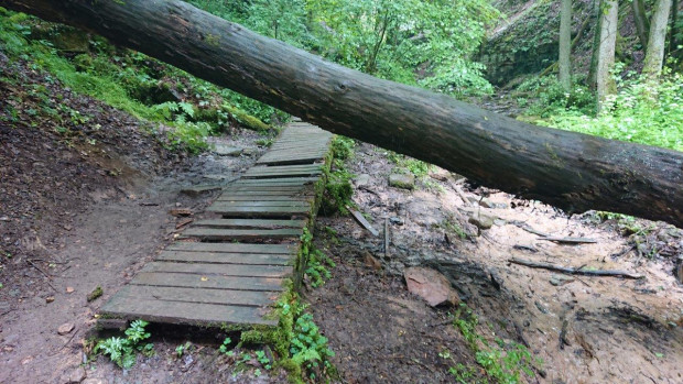 Beschädigter Weg am Trettstein