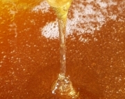 Honig, blumenbiene