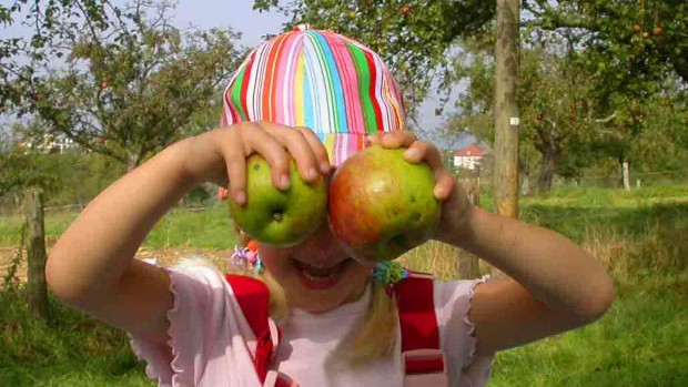 Apfelernte - ein riesen Spaß für Kinder (Foto: Alex Vorbeck)