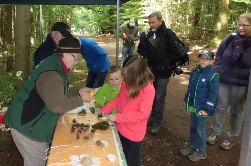 infostand waldkunsttag Schanz2 infostand waldkunsttag Schanz2 Wald und Kunsttag an der Bayrischen Schanz
