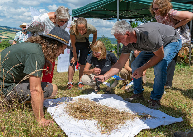 Besucherinnen und Beuscher des Streuobsttags bei der Vorstellung des Samenerntegeräts eBeetle (Foto: Winfried Zang)