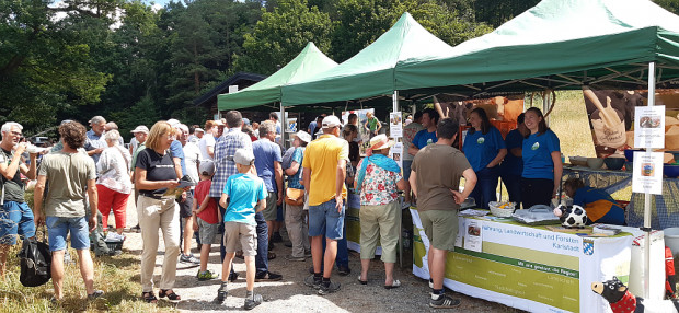 Auf dem Streuobsterlebnistag wurden regionale Köstlichkeiten angeboten, u.a. Apfelsaft, Käse und Lammbratwurst (Foto: Christian Salomon)