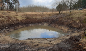 Das kleinere Kleingewässer im vorderen Bereich. ©Mario Schrumpf