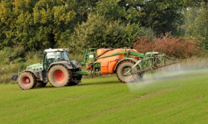 Der flächendeckende Einsatz von Pestiziden in der konventionellen Landwirtschaft vernichtet Insekten und Ackerwildkräuter. (Foto NABU-Arndt Müller)