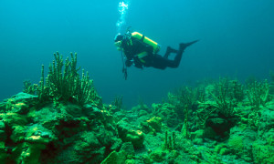 © Michael Feierabend