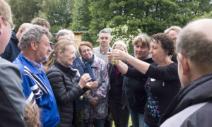 Besprechen und bestimmen der gefundenen Pflanzen. © Philipp Wacker