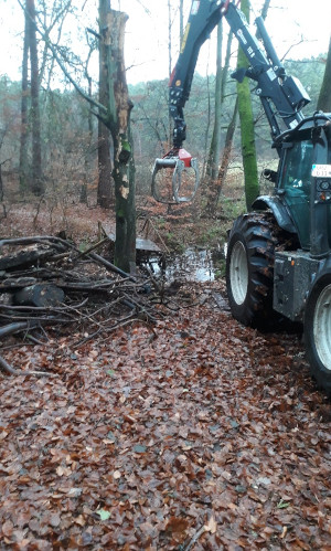 © Foto: Jörg Brinkmann