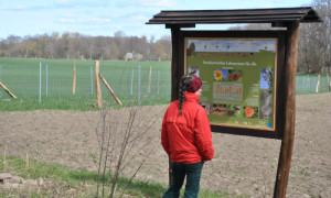 Die Infotafel am Ortsverbindungsweg stößt auf großes Interesse ©Dr. Mario Schrumpf