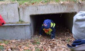 Kita-Knirpse probieren den Amphibien-Tunnel aus