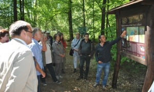 Projektleiter Michael Zauft informiert über das EU-Life-Projekt Feuchtwälder