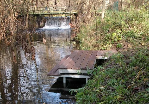 Einstiegsstelle Zippelsförde