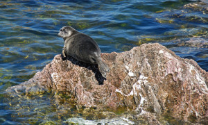 © Michael Feierabend