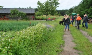 Feldbegehung auf dem KEPOS-Hof Altglobsow.