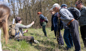 Exkursion auf einen Trockenrasen bei Criewen. © Johannes Müller (Naturwacht Brandenburg)