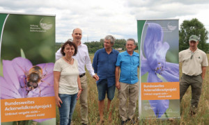 Schützen gemeinsam die Ackerwildkäuter Brandenburgs (v.l.n.r.): Silke Oldorff, Landesamt für Umwelt Brandenburg, Dr. Patrick Lind, Projektleiter des bundesweiten Ackerwildkrautprojektes der Stiftung Rheinische Kulturlandschaft „Unkraut vergeht nicht – stimmt nicht!“, Frank Rumpe, Landwirt, Bernhard Drixler, Qualitäts-Scout Verband Deutscher Naturparke und Geschäftsführer Naturpark Schwäbisch-Fränkischer Wald und Thomas Hahn, Naturwacht. Foto: Naturparkverwaltung Stechlin-Ruppiner Land.