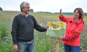 Biolandwirt Frank Rumpe und Isabell Hiekel stellen ein Infoschild am Blühstreifen auf.
