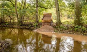 Kieseinbauten bringen mehr Struktur.