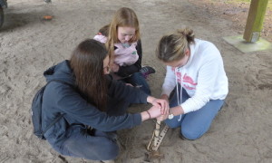 NP SRL /Karen Steinberg