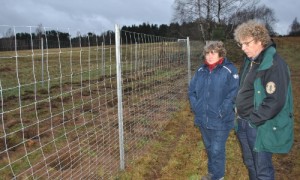 Naturparkleiter Dr. Mario Schrumpf stellt das Heckenpflanzprojekt "Alte Kirschallee" Fürstenberg/Havel vor.