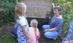 Blick in die Regenwurm-WG