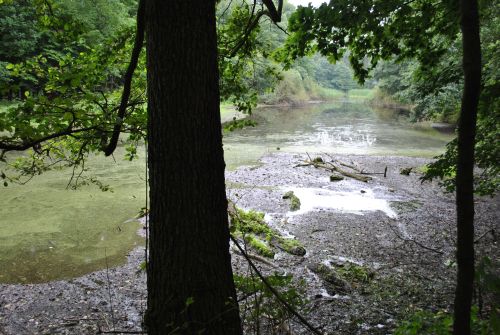 NP SRL/Dr. Mario Schrumpf