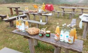 Frühstücksimbiss auf dem Sielmannhügel