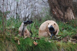 NP SRL/Archiv Naturwacht Stechlin-Ruppiner Land