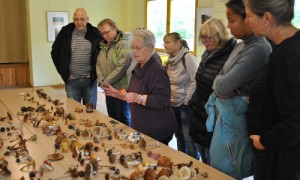Johanna Dalchow wertet die gefundenen Pilze aus.