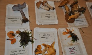 Blick in die Ausstellung