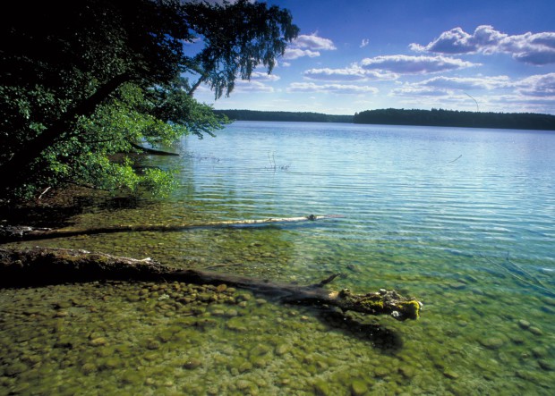 Der Große Stechlinsee