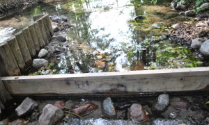 Erneuerte Staubohle am Auslauf des Roofensees.