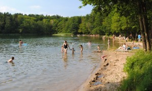 Der Stechlin gehört zu den beliebtesten Badeseen im Naturpark.