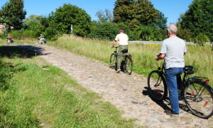 Die Trasse der Stechlinseebahn kann heute auf einem Radweg, wie hier bei Menz, nachgeradelt werden.