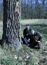 Suche nach Eremitenspuren (Foto: Frank_Berhorn)