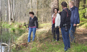 Michael Zauft zeigt das Ergebnis der Wiedervernässung eines Moores im NSG Stechlin.