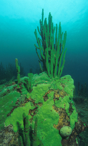 © Michael Feierabend