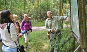 Revierförster Jörg Sprößig zeigt den Wegeverlauf