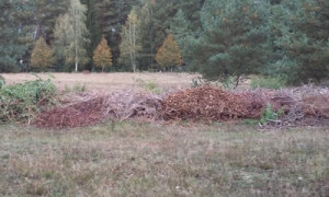 NP SRL/Silke Oldorff