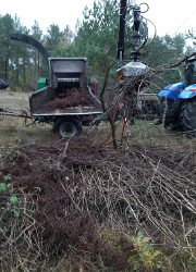 NP SRL/Silke Oldorff