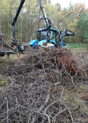 NP SRL/Silke Oldorff