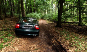 NP SRL/Silke Oldorff