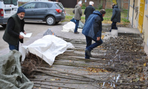 Die Apfelhochstämme zu Beginn der Ausgabe © Foto: Dr. Mario Schrumpf