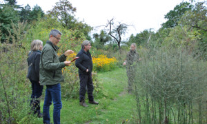 Besichtigung eines Gartenanwärters für einen der Preise zum Wettbewerb Naturnaher Garten © Foto: Heiko Strobel