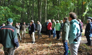 Sven Oldorff erläuert die Zielstellungen und Realitäten einer nachhaltigen Waldwirtschaft im Naturschutzgebiet Stechlin