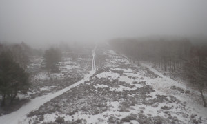 Blick vom Naturbeobachtungsturm in die weiße Winterwejt.