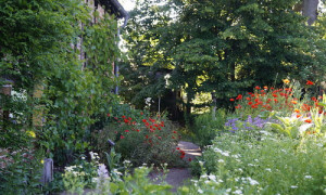 © NaturParkHaus Stechlin