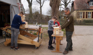 Gemeinsam wurden die Kästen zusammen genagelt. © Naturwacht SRL