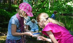 Schau, was ich gefunden habe!