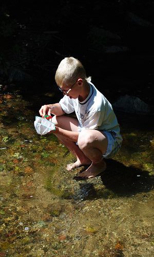 Wer lebt alles im Polzowkanal?