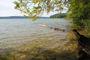 Der Stechlin -bedeutendster Klarwassersee Brandenburgs.